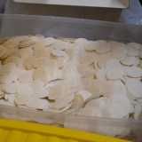 Le �promosse� vengono quindi riposte in alcuni contenitori di plastica (nel laboratorio ne vediamo cinque, colmi fino all�orlo)...